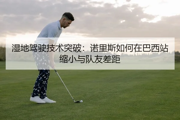 湿地驾驶技术突破：诺里斯如何在巴西站缩小与队友差距